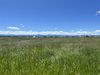 Lot 1 Walleye Road photo